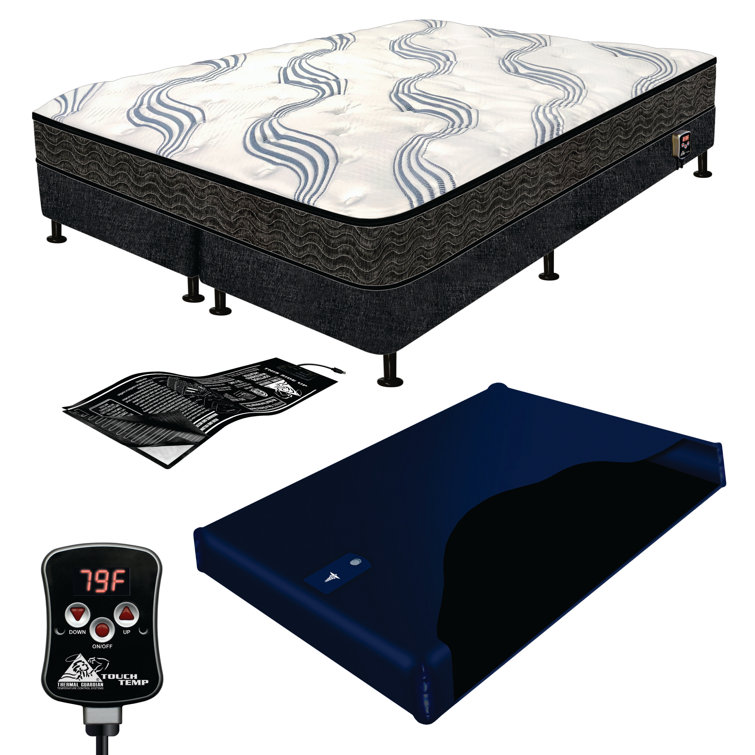 White Noise 6'' Free Flow Mid Fill Softside Waterbed Mattress Wayfair